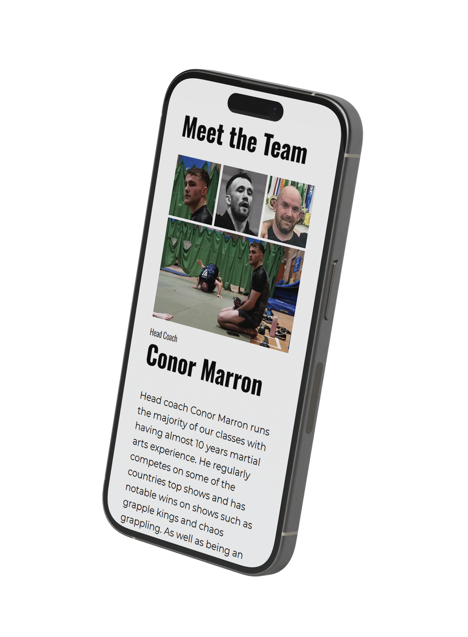 Mockup of 37 Bjj site Mobile view